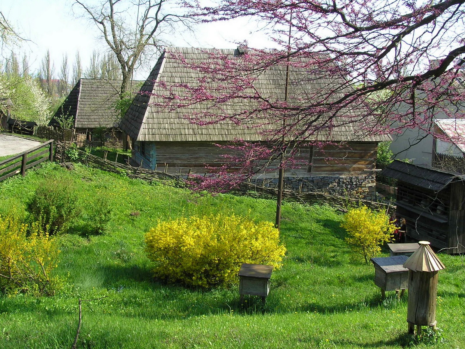 Украинский сад. Карпаты Украина деревни. Весна в деревне. Деревня весной. Весна природа деревня.