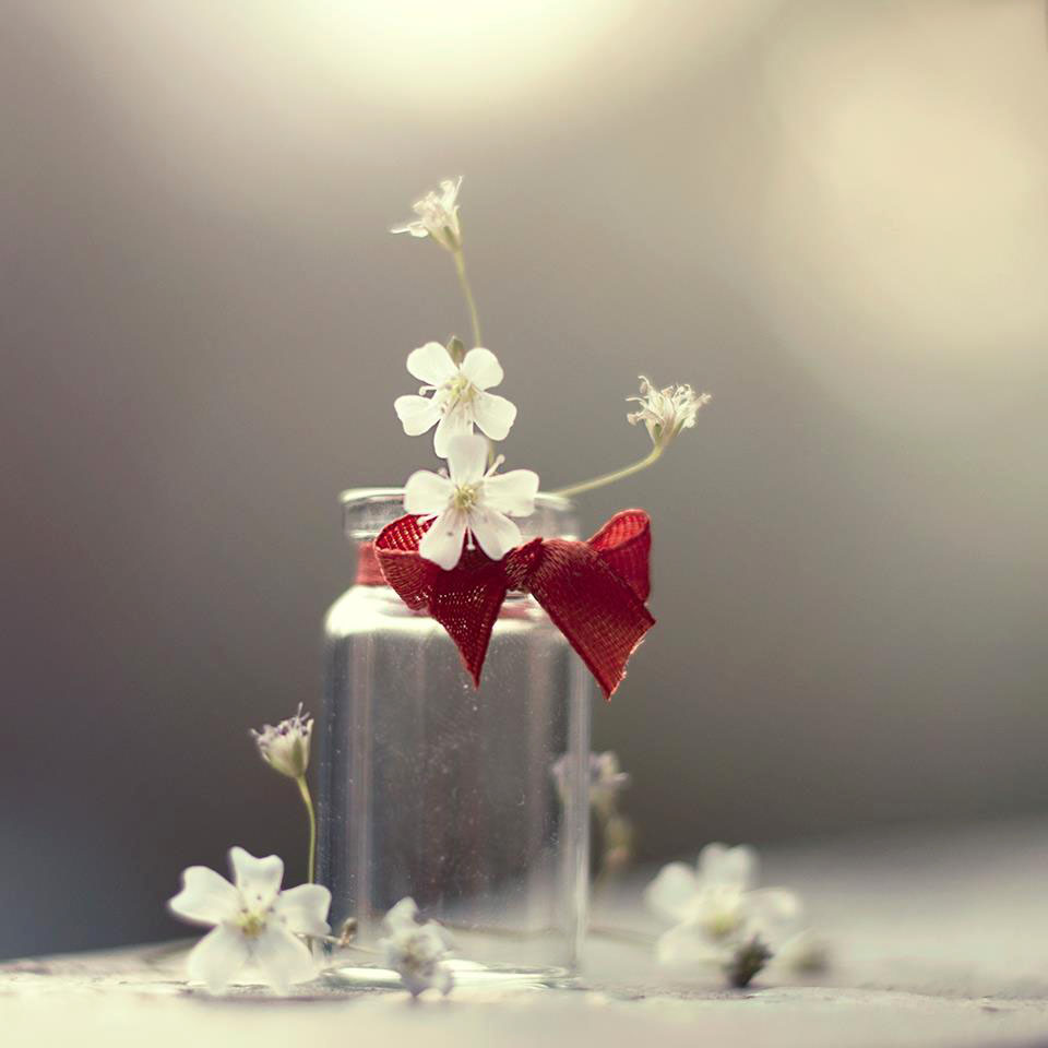 Счастье ведь. Ashraful Arefin. Фотограф Ашрафул Арефин. Удивительные натюрморты фотографа Ashraful Arefin. Ашрафул Арефин фотохудожник.